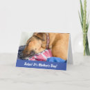 Search for dog mothers day cards Funny