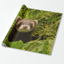 Search for ferret wrapping paper Funny