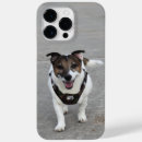 Search for jack russell iphone cases Terrier