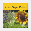 Search for sunflower magnets Wild flowers