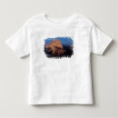 Search for high sierra tshirts Rock formation