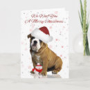 Search for bulldog christmas cards Animal