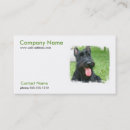 Search for scottish business cards Dog