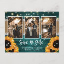 Search for 3 sunflowers postcards Rustic