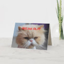 Search for frowning cards Humour