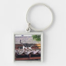 Search for shed keychains Farm