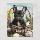 Recherche de frenchie noir cartes postales Chiot