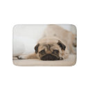 Recherche de bronzage maison deco Animaux familiers
