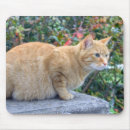 Search for fat mousepads Kitty