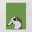 Search for waterfowl postcards Goose