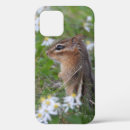 Search for chipmunk iphone cases Rodent