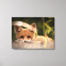 Search for cute fox canvas prints Nature
