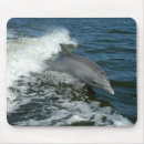 Search for dolphin mousepads Sea