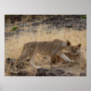 Search for lioness art Cats