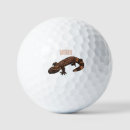 Search for arizona golf balls United states