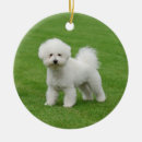 Search for bichon frise ornaments White