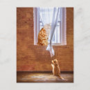 Search for kittie postcards Orange tabby cat
