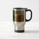 Search for longhorn mugs Bulls