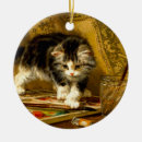 Search for funny cat ornaments Playing