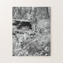 Search for whitetail deer puzzles Forest