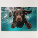 Search for dynamic puzzles Dog products