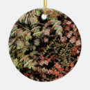Search for vines round ornaments Nature