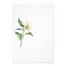 Search for nature posters Minimalist