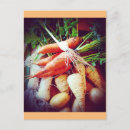 Search for veggies postcards Vegetables