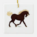Search for rocky mountain horse Pony
