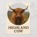 Recherche de highlands cartes postales Animal