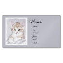Search for tabby cards magnets Cute