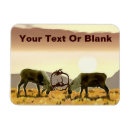 Search for caribou christmas cards Animals
