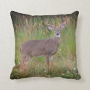 Search for portraits pillows Deer