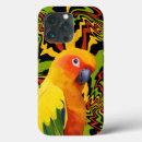 Search for conure iphone cases Parrot