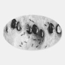 Search for watermelon seed stickers Food