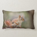 Search for red squirrel pillows Animal