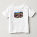 Search for rosa parks tshirts Santa rosa mountains