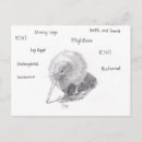Recherche de kiwis cartes postales Animal
