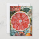 Recherche de pamplemousse cartes postales Fruit