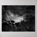 Recherche de sauterelle posters Photographie