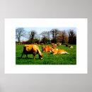 Recherche de vache posters Troupeau