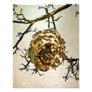 Search for wasps posters Hornet