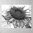 Search for black and white vintage posters Antique