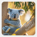 Search for koalas stickers For kids