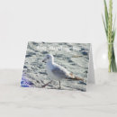 Search for myrtle beach cards Summer