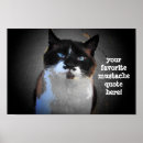 Search for moustache posters Cat