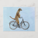 Search for cats on bikes postcards Flower leaves