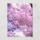 Search for case for postcards Flowers