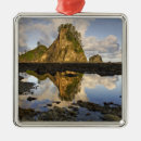 Search for olympic national park ornaments Nobody