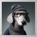 Search for bedlingtons posters Bedlington terrier